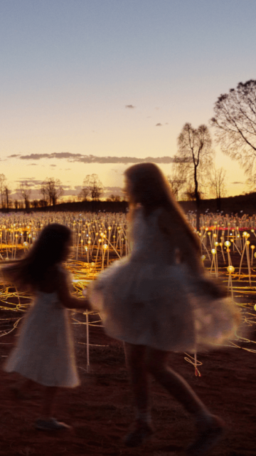 Wow Campaign Field of Lights Experience
